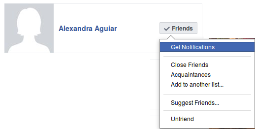 Shows a screenshot of the Friend Dropdown Menu for any one friend.