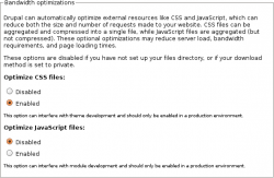 Screenshot of the Bandwidth optimizations fieldset in your administration performance.